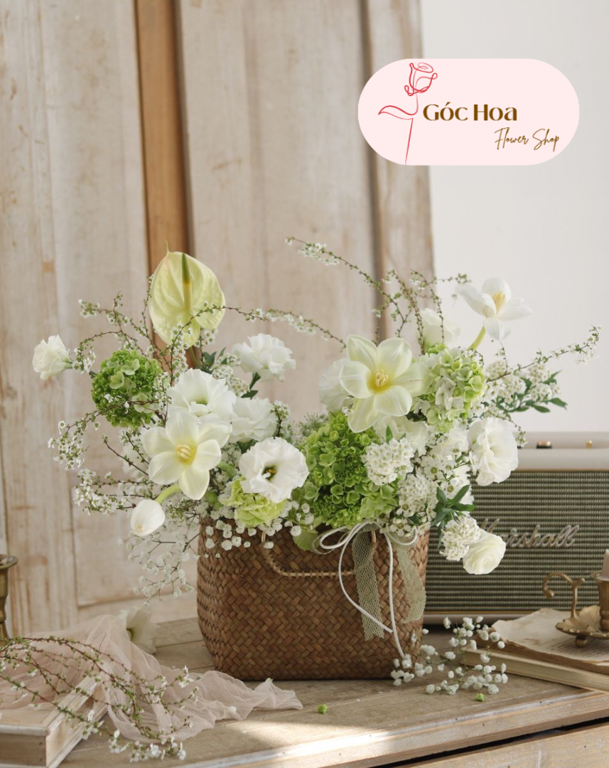 Góc Hoa - Giỏ Hoa Chúc Mừng Tone Trắng Xanh Thanh Lịch